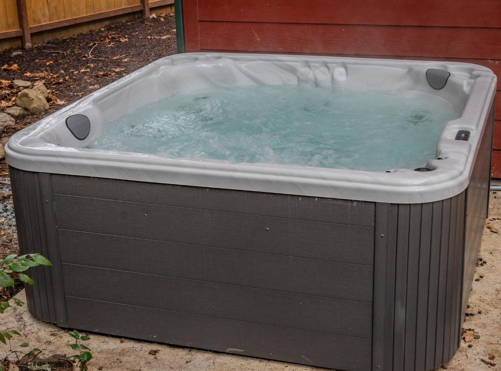 Mt. Rainier Cabin W/Hot Tub 阿什福德 外观 照片